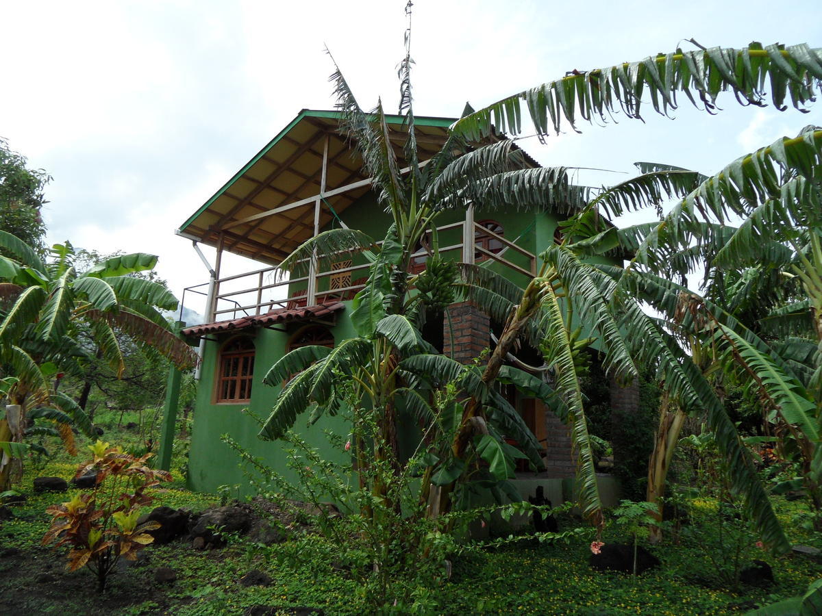 Finca Montania Sagrada Bed & Breakfast Merida Room photo