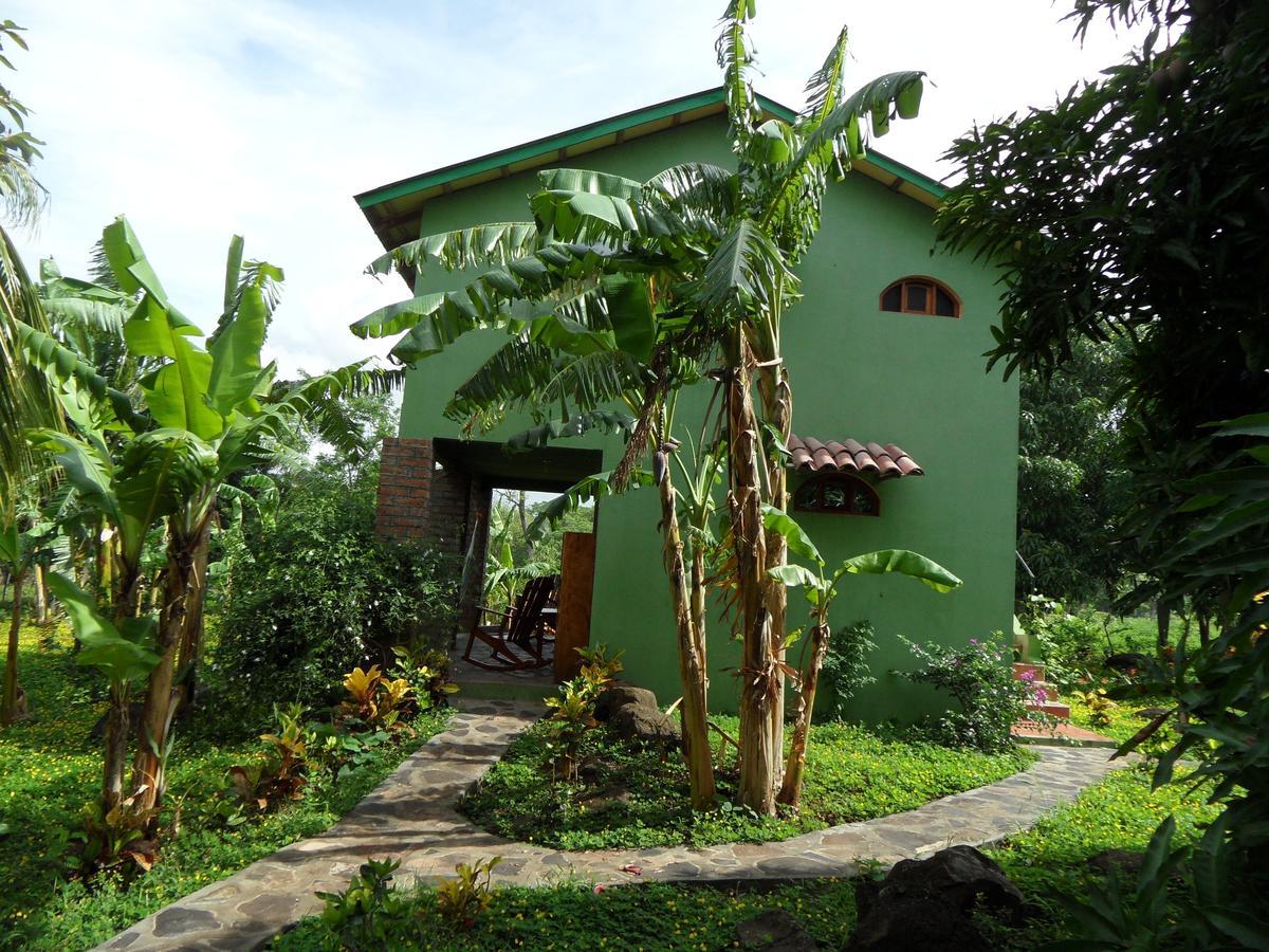 Finca Montania Sagrada Bed & Breakfast Merida Room photo