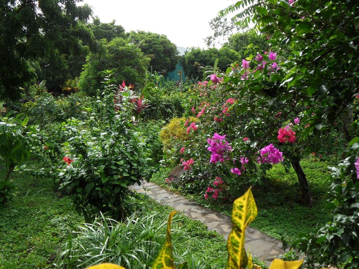 Finca Montania Sagrada Bed & Breakfast Merida Exterior photo