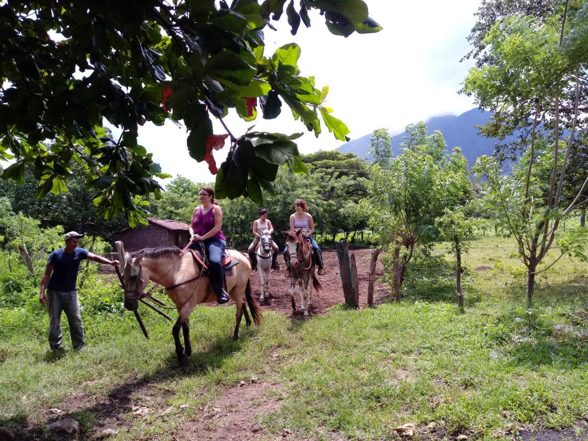 Finca Montania Sagrada Bed & Breakfast Merida Exterior photo